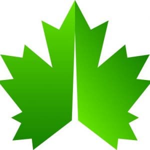 A stylized, symmetrical green maple leaf divided by a central line, with jagged edges and gradient shading from dark to light green.