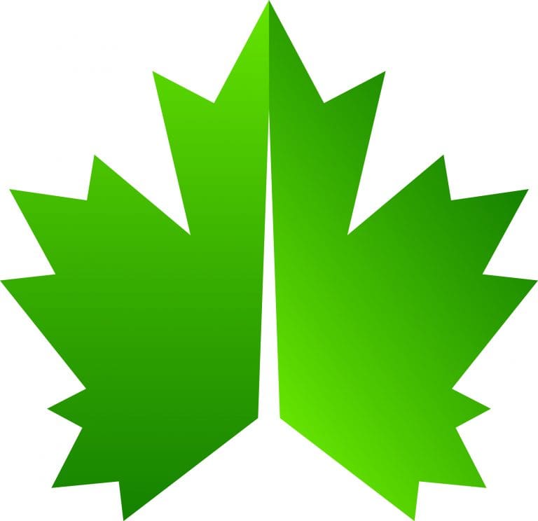 A green maple leaf with symmetrical, sharp-edged points and a smooth gradient from light to dark green, set against a white background.