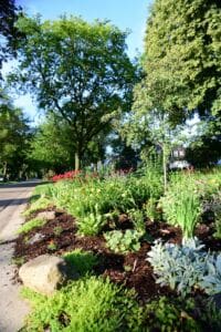 A lush, colorful garden with various flowers and plants borders a sidewalk under tall, leafy trees on a sunny day. A large rock sits in the foreground, and houses are visible in the background.