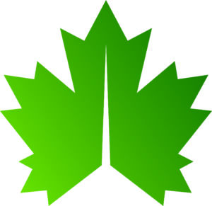 A stylized green maple leaf with pointed edges, symmetrically split down the center, on a white background.