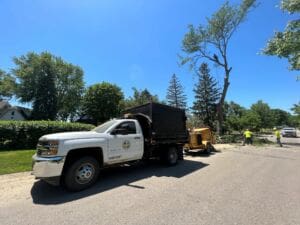 A white city maintenance truck is parked on a sunny residential street next to a wood chipper, with workers wearing safety vests handling tree debris and trimmed branches. Tall green trees line the street under a clear blue sky.