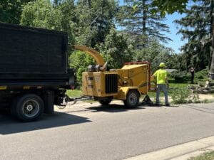 A worker in a yellow shirt and hard hat feeds tree branches into a yellow wood chipper next to a black truck on a sunny day, with green trees and grass in the background.