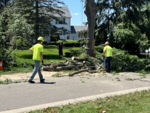 Two workers in yellow shirts and hard hats stand near a fallen tree being cut into pieces on a residential street, with a white house and green bushes in the background. A third person stands farther back near the house.