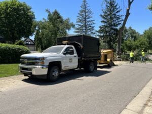 A white municipal truck with a trailer is parked on a sunny residential street, while workers in yellow shirts handle tree debris near a large tree and wood chipper. Lush green trees and houses are visible in the background.
